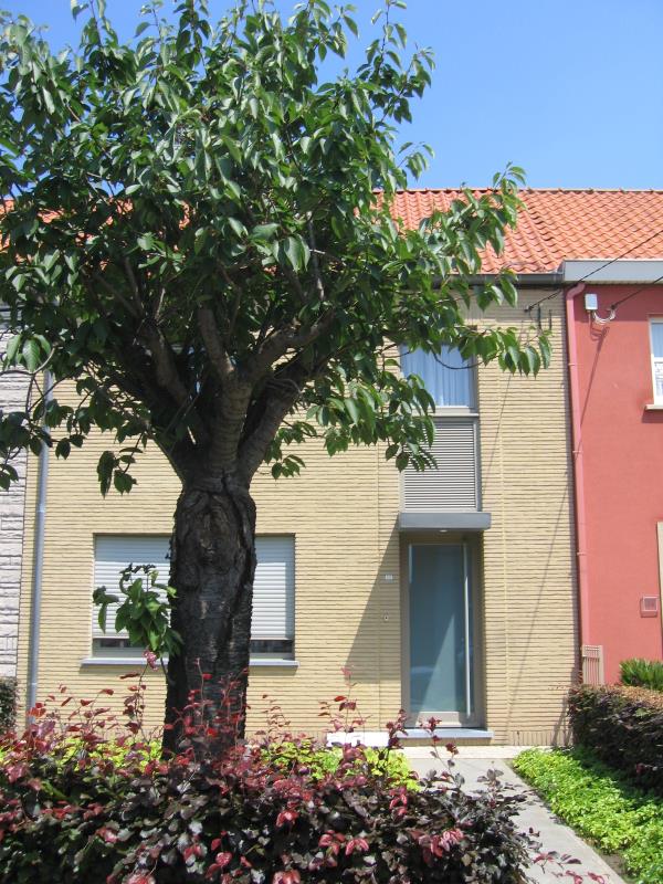 huurwoning Vijfwegenstraat 277, 8800 Rumbeke