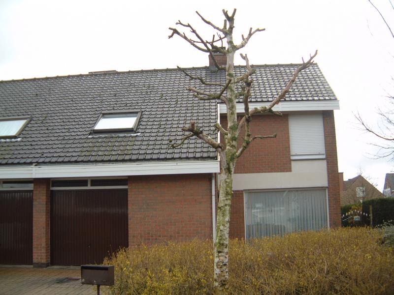 huurwoning Nijlstraat 8, 8820 Torhout